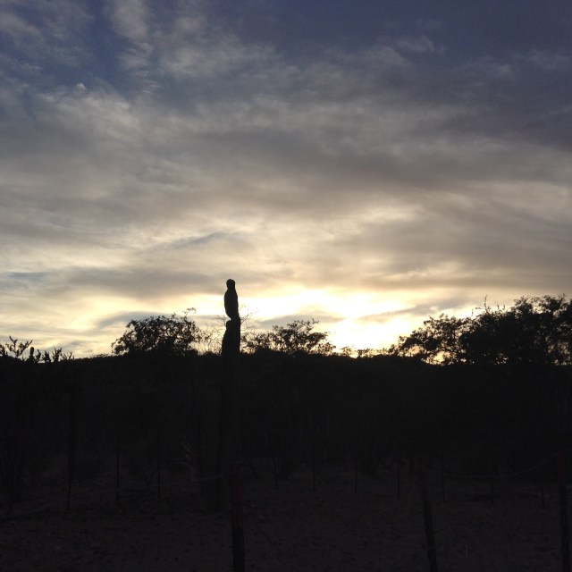 22C7B052-A1AA-4B3D-AF37-CF2BFA57F24C