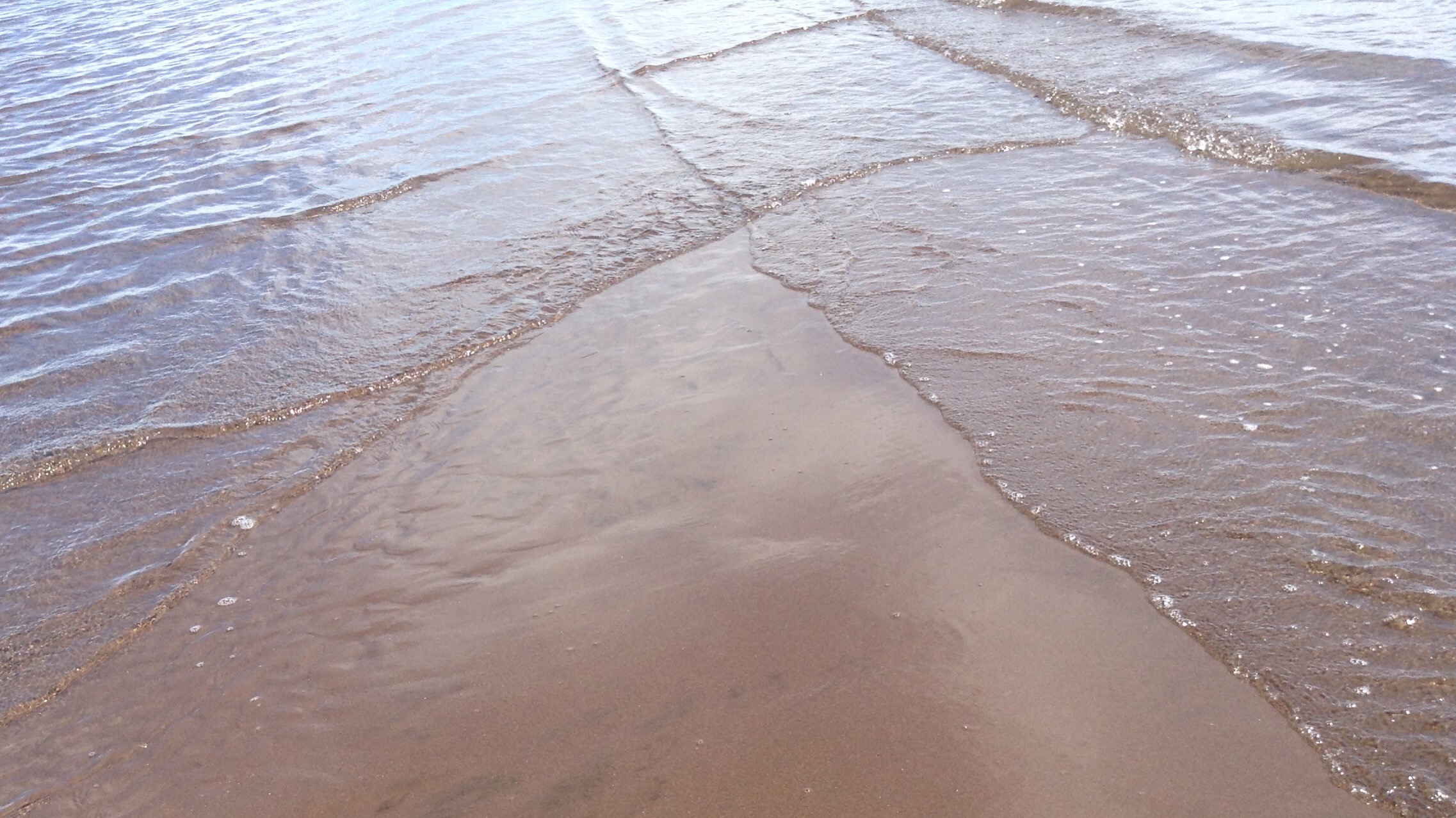 F9B20778-F9C4-43F4-B39A-201C35BB2684